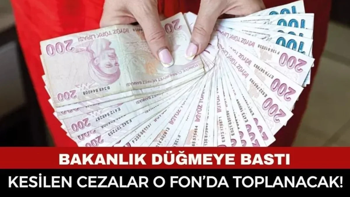 Bakanlık Düğmeye Bastı: Kesilen Cezalar Artık O Fon’a Gidecek! - Ekonomi Haberleri