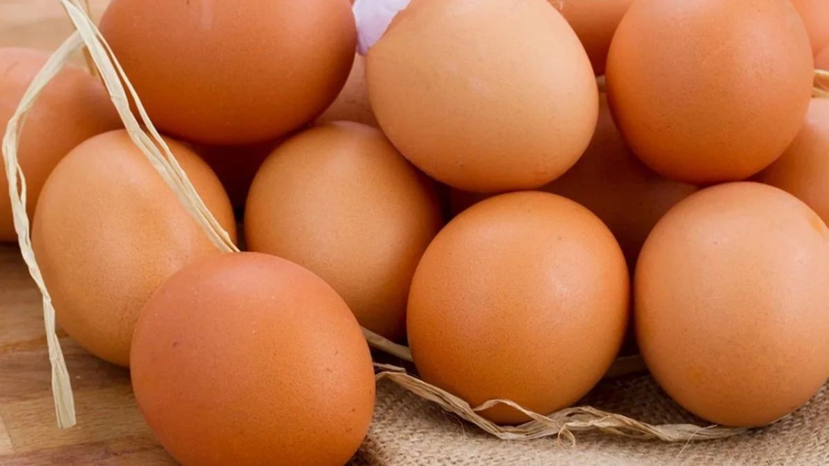 Yumurta Fiyatlarına Zam Sinyali! Yeni Karar Kahvaltılık Ürünleri Etkileyecek mi? - Gündem Haberleri